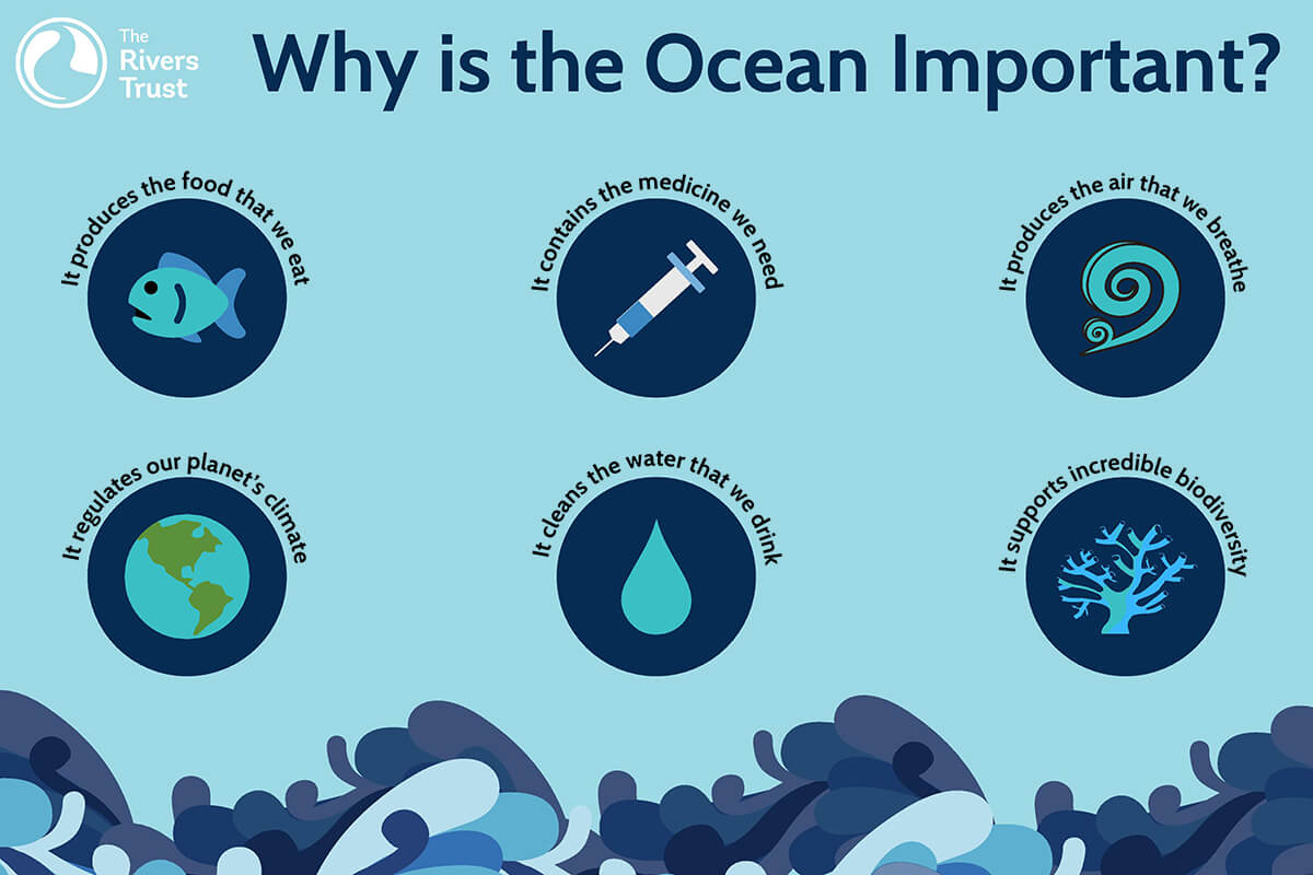 World Oceans Day Infographic