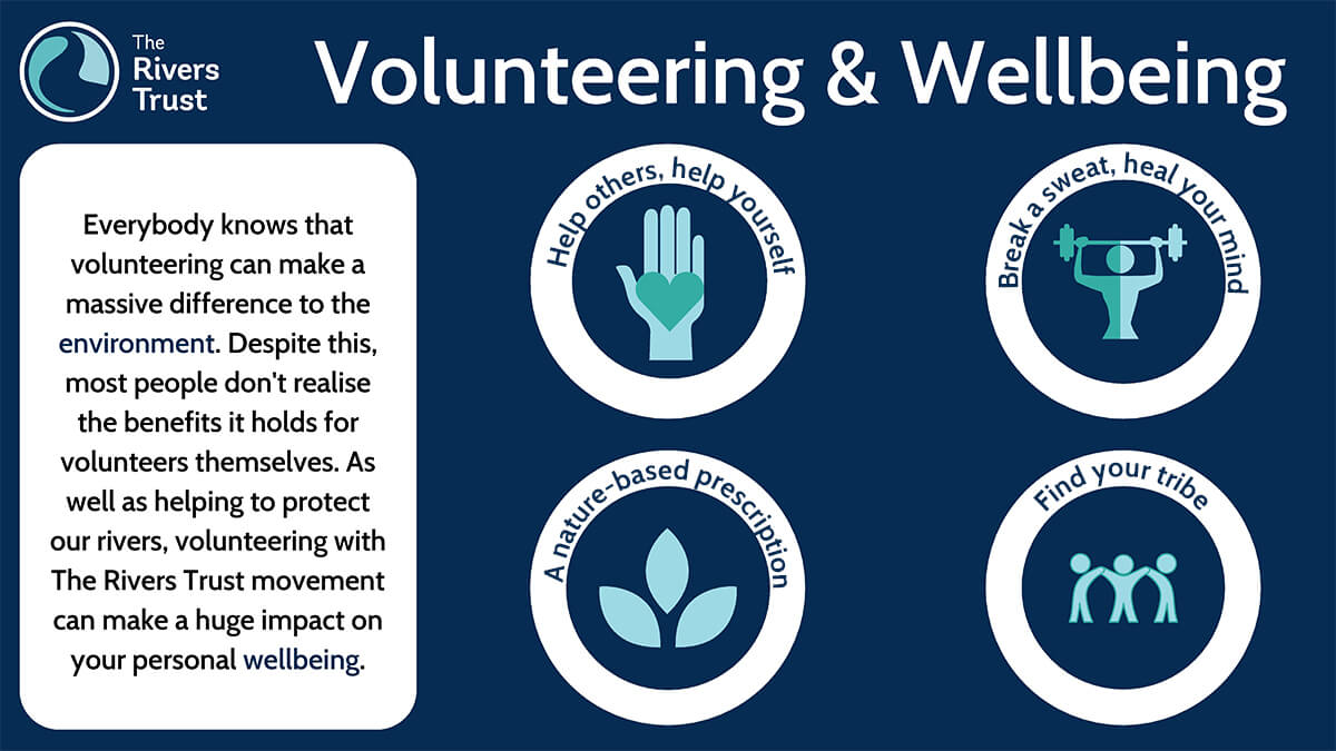 Benefits of Volunteering Infographic SMALL