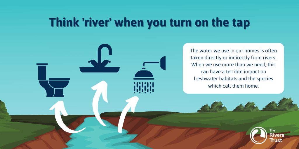 Think rivers | World Water Week