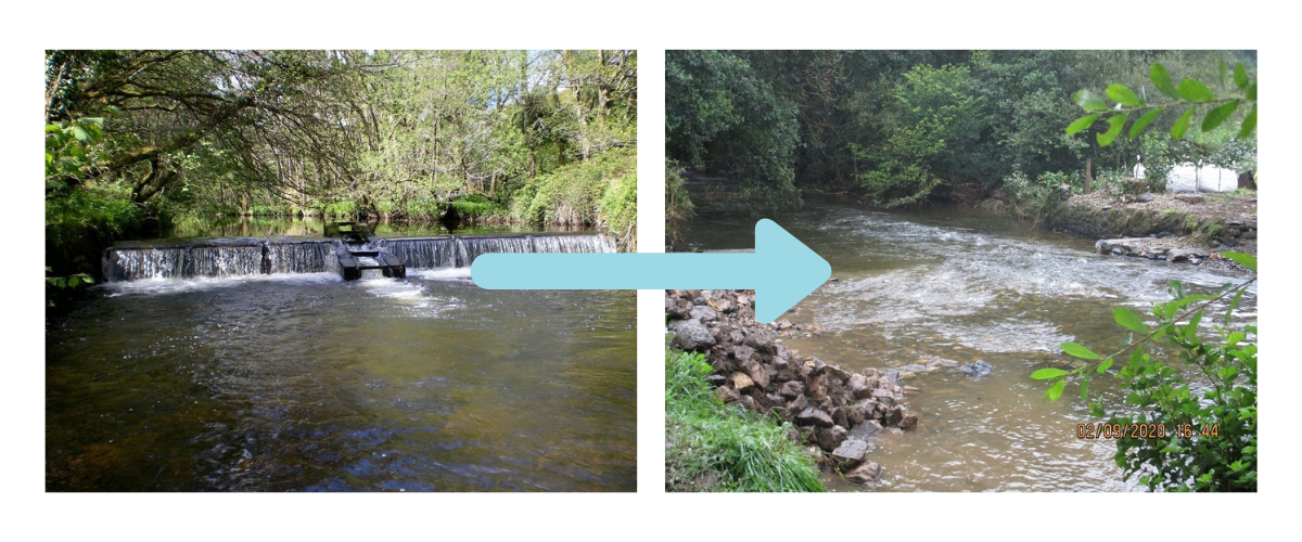 Weir removal - West Wales Rivers Trust